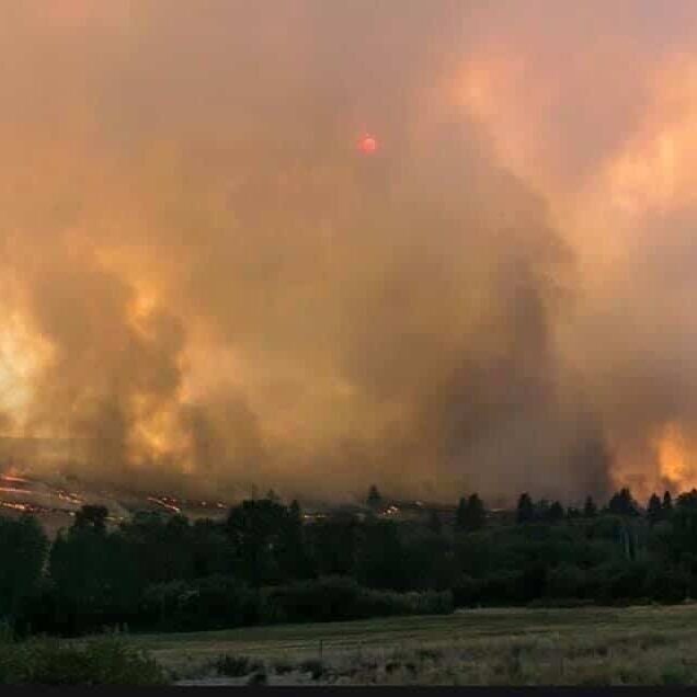 Outdoor forest fire damage in Yakima